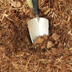 Aerating Soil