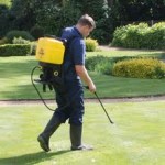 Treating mosses and weeds
