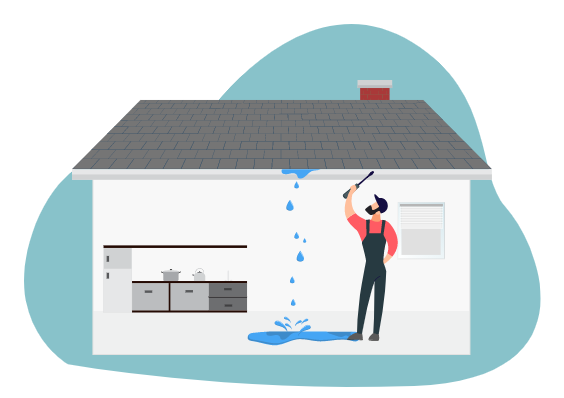 Problems With The Roof