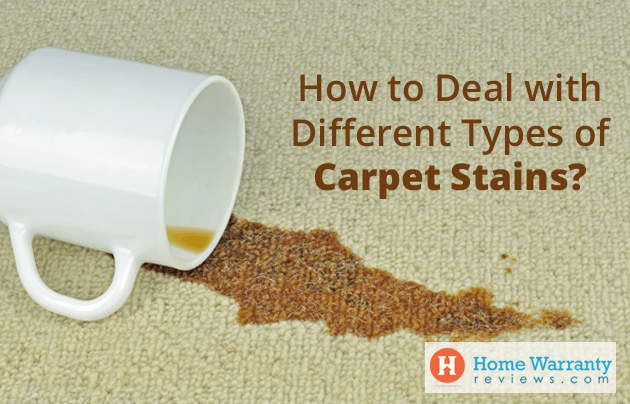 homemade carpet stain removers