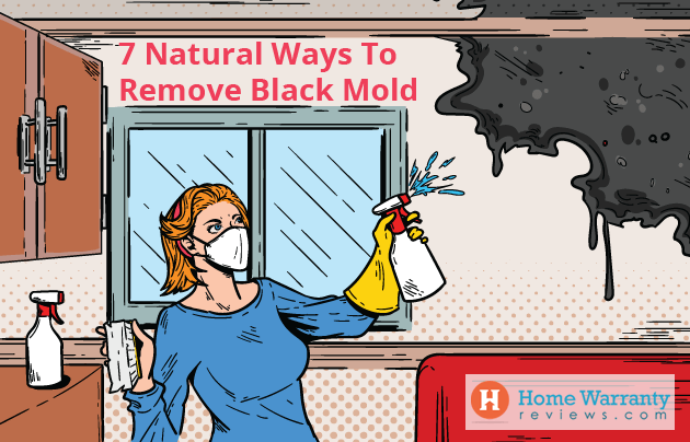 7 Natural Ways To Remove Black Mold