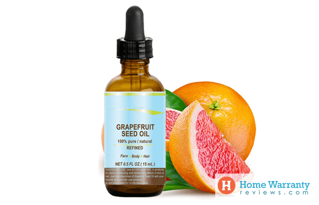 Grapefruit Seed Extract