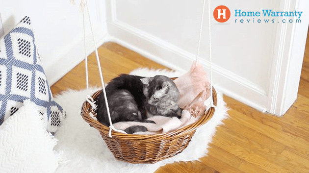 diy cat bed easy