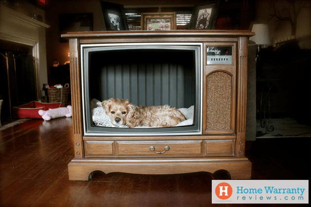 vintage dog bed