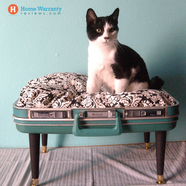 DIY suitcase pet bed