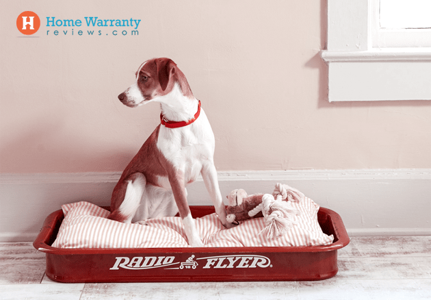 diy dog bed no sew
