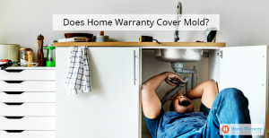 Does_Home_Warranty_Cover_Mold