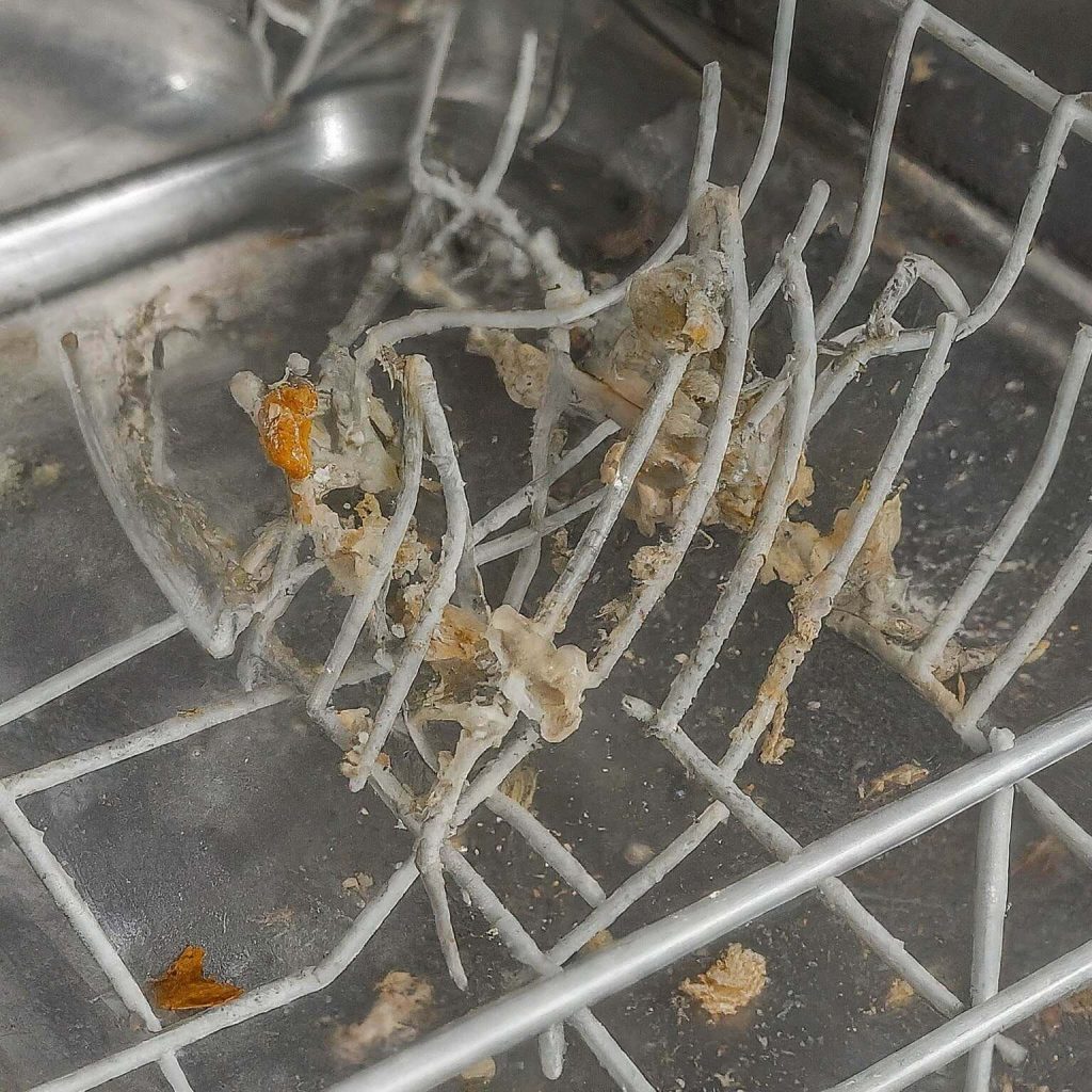 an image representing Food Spoilage in a dishwasher