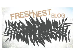 Fresh Nest Blog