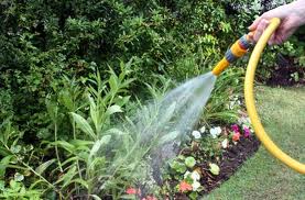 Garden watering Garden watering