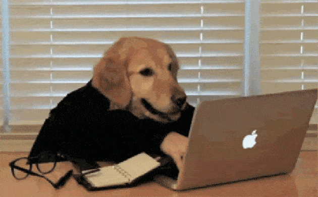 watchdog on computer