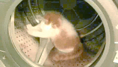 If Your Dryer Breaks Down