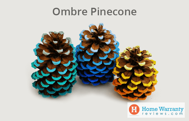 Ombre Pinecone