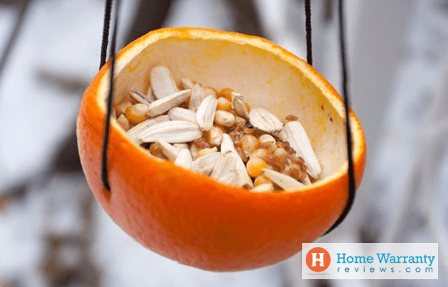 Orange Cup Bird feeders