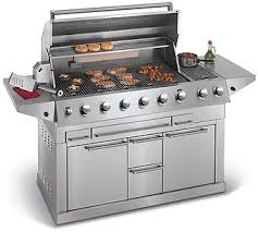 Outdoor gas grill
