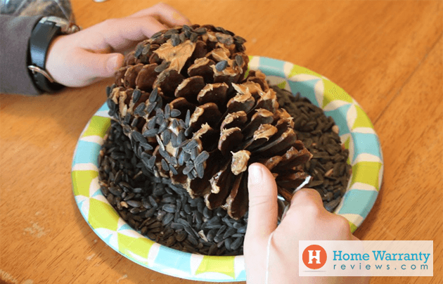 Pinecone Bird Feeders