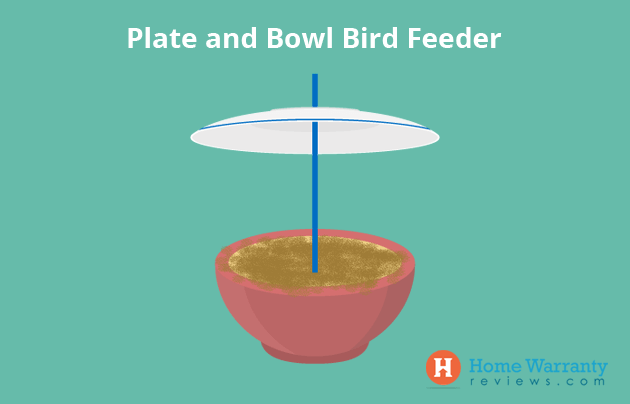 Plate and Bowl Bird Feeder