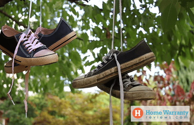 Shoe Bird Feeder