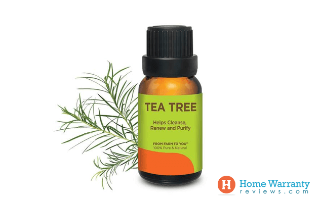 Tea Tree Oil