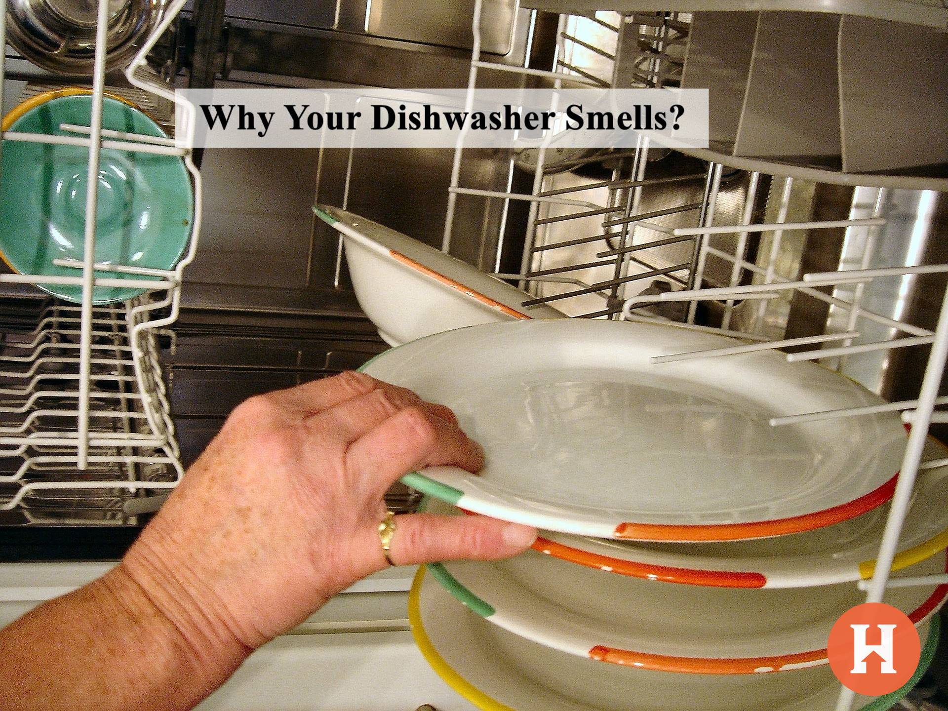 Why Does My New Dishwasher Stink at Nina Welsh blog