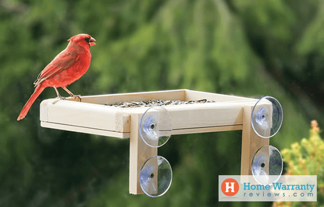 Window Bird Feeder