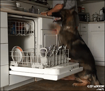 dishwashers and home owners