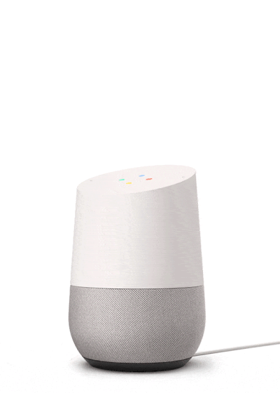 google home