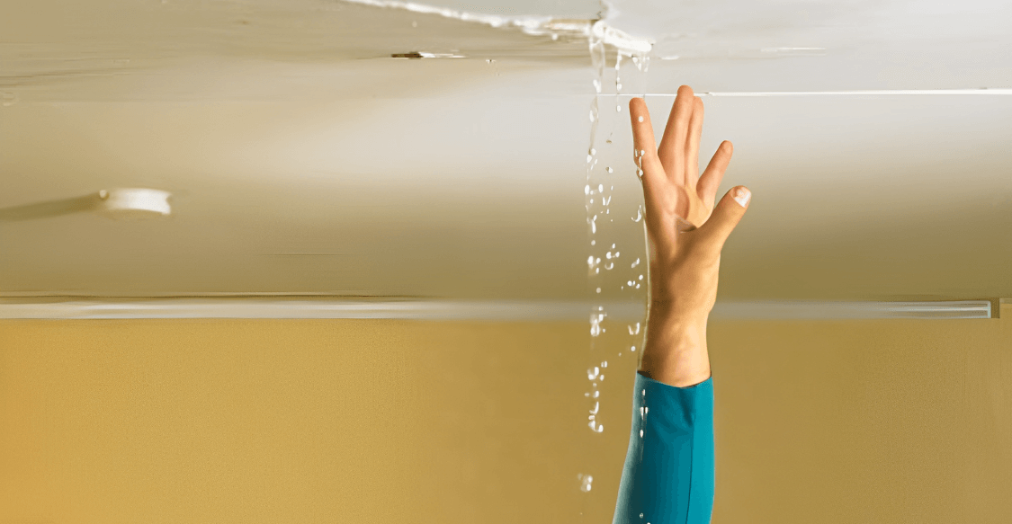 What Are The Common Signs Of Leak In The Ceiling?