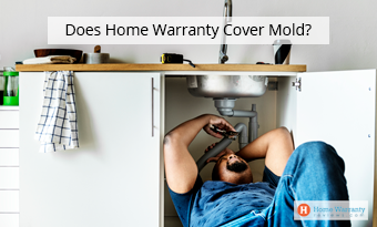 Does Home Warranty Cover Mold?