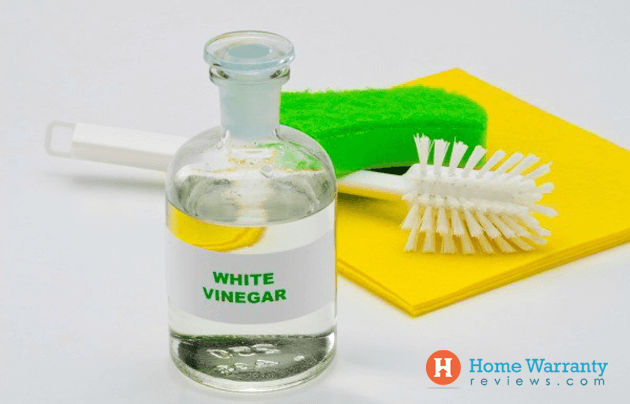 clean carpet with vinegar