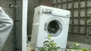 washing machine damage